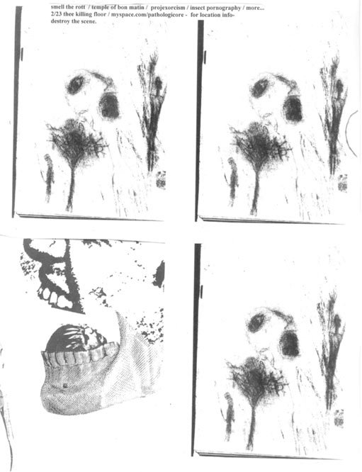 temple of bon matin, projexorcism, smell the rot, insect pornography